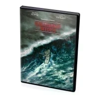 Идеальный шторм (DVD)