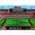 Картридж Genesis College Football USA 96 (б/у) в боксе с инструкцией Картридж Genesis College Football USA 96 (б/у) в боксе с инструкцией