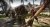 Dead Island Game of the Year Edition (Xbox 360, б/у) Специальная обложка Dead Island Game of the Year Edition (Xbox 360, б/у) Специальная обложка