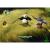 Kung Fu Panda Legendary Warriors (Wii, б/у) Kung Fu Panda Legendary Warriors (Wii, б/у)