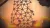 World of Goo 2 (Nintendo Switch, рус.) World of Goo 2 (Nintendo Switch, рус.)