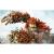 Knack (PS4/PS5, б/у, рус.) русская обложка
