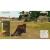Zoo Tycoon (Xbox 360, б/у, рус., множ.царап., устанавливается на 100%) Zoo Tycoon (Xbox 360, б/у, рус., множ.царап., устанавливается на 100%)