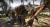 Dead Island Коллекционное издание (PC, рус.) Dead Island Коллекционное издание (PC, рус.)