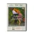 Правила Виноделов (DVD) УЦЕНКА Правила Виноделов (DVD) УЦЕНКА