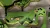 World of Goo 2 (Nintendo Switch, рус.) World of Goo 2 (Nintendo Switch, рус.)