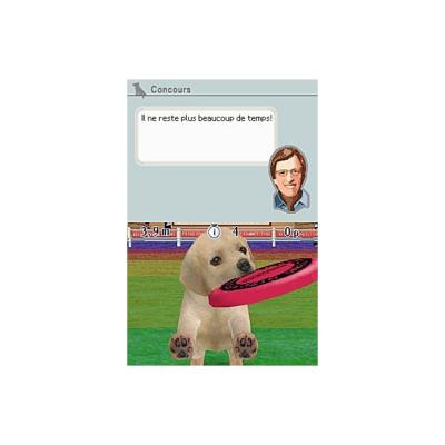 Nintendogs Labrador and Friends (DS, б/у, без бокса)