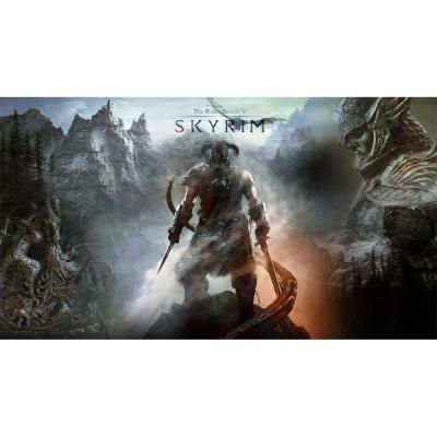 The Elder Scrolls V Skyrim (Nintendo Switch, рус.)