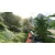 Far Cry 3 Classics (Xbox 360/One/Series, б/у, рус.)
