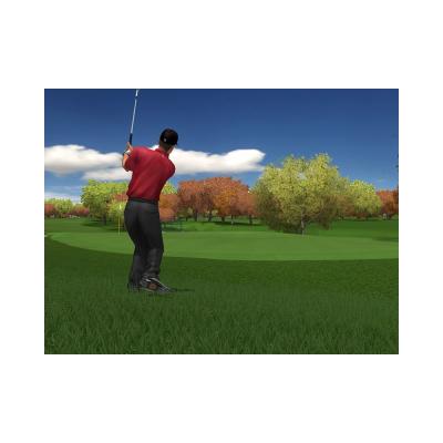 Tiger Woods PGA Tour 2004 (Xbox, б/у)