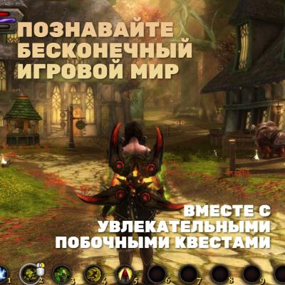 Kingdoms of Amalur Re-Reckoning (Nintendo Switch, рус.)