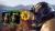 Fallout 76 (Xbox One/Series, рус.) Fallout 76 (Xbox One/Series, рус.)