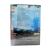Медальон Торсена (DVD)