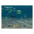 Finding Nemo (GameCube, б/у) Finding Nemo (GameCube, б/у)
