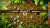 30 in 1 Game Collection Vol.1 (Nintendo Switch) 30 in 1 Game Collection Vol.1 (Nintendo Switch)