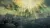 Elden Ring (PS5, б/у, рус.) Elden Ring (PS5, б/у, рус.)