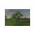 Links 2004 (Xbox/Xbox 360, б/у) Links 2004 (Xbox/Xbox 360, б/у)