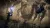 Elden Ring Nightreign (Xbox One/Series X, рус.) Elden Ring Nightreign (Xbox One/Series X, рус.)