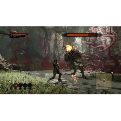 Bound by Flame (PS3, витринный образец)