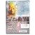 Флэш полный 3-й сезон (DVD) Флэш полный 3-й сезон (DVD)