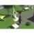 The Sims Bustin Out (Xbox, б/у, незнач.царап., устанавливается на 100%) The Sims Bustin Out (Xbox, б/у, незнач.царап., устанавливается на 100%)