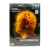 BBC: Разум Человека (DVD) BBC: Разум Человека (DVD)