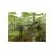 Vietcong Purple Haze (Xbox/Xbox 360, б/у) Vietcong Purple Haze (Xbox/Xbox 360, б/у)