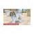 Nintendogs+Cats. Французский бульдог и новые друзья (3DS, рус.) Nintendogs+Cats. Французский бульдог и новые друзья (3DS, рус.)