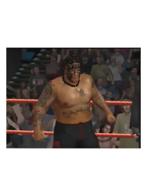 WWE SmackDown vs. Raw 2009 (PS3, б/у) Специальная обложка