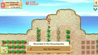 Harvest Moon Light of Hope Special Edition (Nintendo Switch)