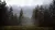 Hunting Simulator 2 (PS5, рус.) Hunting Simulator 2 (PS5, рус.)