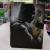 Steelbook G1 Call of Duty Black Ops 2 (без игры) Steelbook G1 Call of Duty Black Ops 2 (без игры)