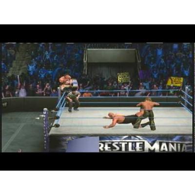 WWE SmackDown vs. Raw 2010 (DS, б/у, без бокса)