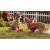 Крошка из Беверли Хиллз (DVD) Крошка из Беверли Хиллз (DVD)