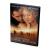 Город ангелов (DVD)