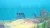 Dolphin Spirit Ocean Mission (Nintendo Switch, рус.) Dolphin Spirit Ocean Mission (Nintendo Switch, рус.)