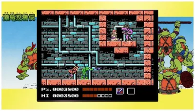 Teenage Mutant Ninja Turtles The Cowabunga Collection (PS5, б/у)