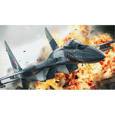 Ace Combat Assault Horizon (PS3, б/у, рус., множ.царап., устанавливается на 100%)