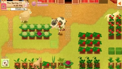 Harvest Moon Light of Hope Special Edition (Nintendo Switch)