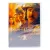 Башни-близнецы (DVD) Башни-близнецы (DVD)