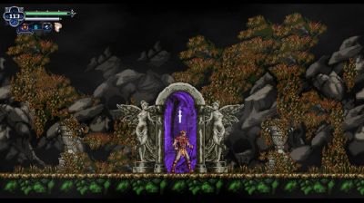 Chronicles of the Wolf (Nintendo Switch)