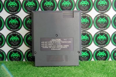 Картридж NES Town & Country Surf Designs. Wood & Water Rage (б/у) (NTSC)