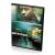 Дежа Вю (DVD ) Дежа Вю (DVD )