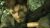 Metal Gear Solid Master Collection Vol.1 Day One Edition (Nintendo Switch, б/у) Metal Gear Solid Master Collection Vol.1 Day One Edition (Nintendo Switch, б/у)