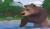 World of Zoo (Wii, б/у, незнач.царап., устанавливается на 100%) (регион PAL)