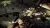 Crysis 3 Hunter Edition (PS3, б/у, рус.) Crysis 3 Hunter Edition (PS3, б/у, рус.)
