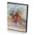 Точка отрыва (DVD)