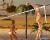 Dead or Alive Xtreme Beach Volleyball (Xbox, б/у, без обложки) Dead or Alive Xtreme Beach Volleyball (Xbox, б/у, без обложки)