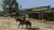 Red Dead Redemption (RDR) (Nintendo Switch 2, рус.) Red Dead Redemption (RDR) (Nintendo Switch 2, рус.)
