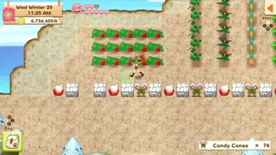 Harvest Moon Light of Hope Special Edition (Nintendo Switch)